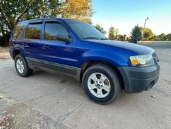 Salvage cars for sale at Oklahoma City, OK auction: 2005 Ford Escape XLT