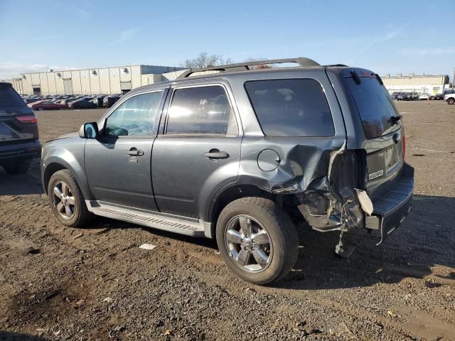 2009 Ford Escape XLT