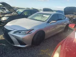 Flood-damaged cars for sale at auction: 2019 Lexus ES 350