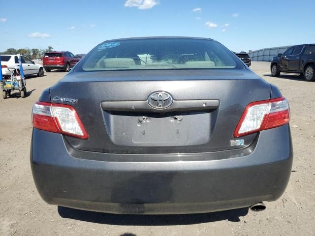 2009 Toyota Camry Hybrid