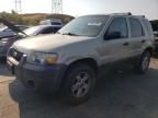 2005 Ford Escape XLT