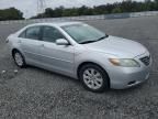 2009 Toyota Camry Hybrid