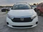 2021 Honda Odyssey Elite