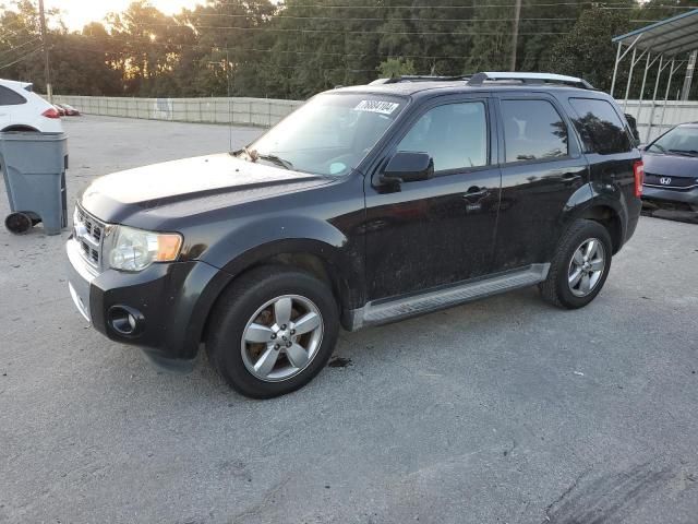 2011 Ford Escape Limited