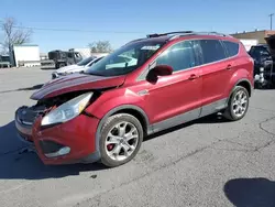 Salvage cars for sale at Anthony, TX auction: 2013 Ford Escape SE