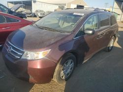 2013 Honda Odyssey LX en venta en Brighton, CO