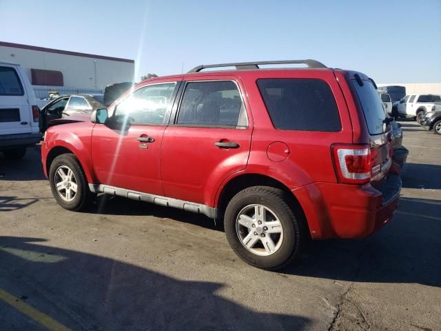 2010 Ford Escape XLT