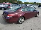 2008 Honda Accord EX