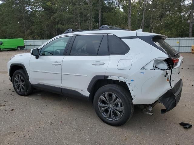 2024 Toyota Rav4 XLE Premium