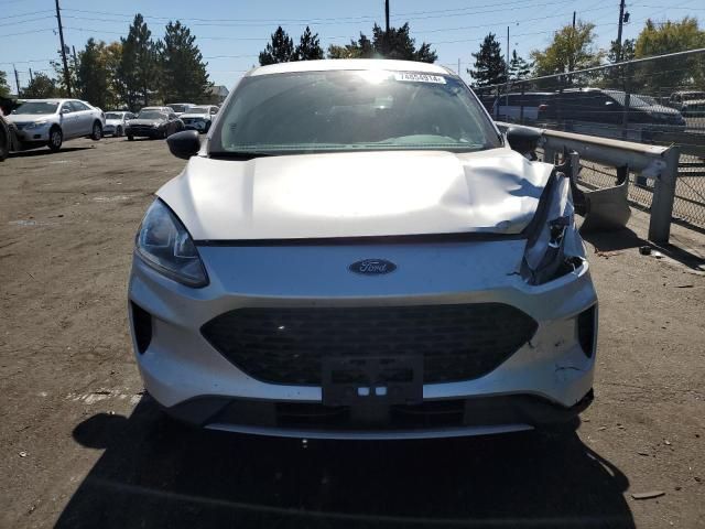 2020 Ford Escape SE Sport