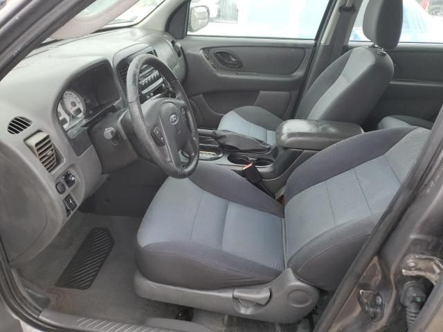 2005 Ford Escape XLS