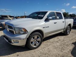 Salvage cars for sale at Arcadia, FL auction: 2010 Dodge RAM 1500