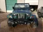 1999 Jeep Wrangler / TJ Sahara