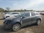 2010 Cadillac SRX Luxury Collection