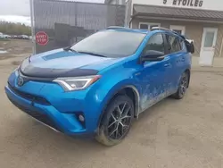 Toyota salvage cars for sale: 2017 Toyota Rav4 HV SE