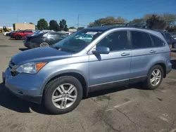 Salvage cars for sale at Moraine, OH auction: 2010 Honda CR-V EXL