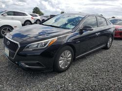 Vehiculos salvage en venta de Copart Riverview, FL: 2017 Hyundai Sonata Hybrid