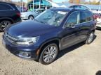 2015 Volkswagen Tiguan S