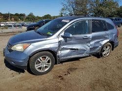 Salvage cars for sale at Baltimore, MD auction: 2010 Honda CR-V EXL