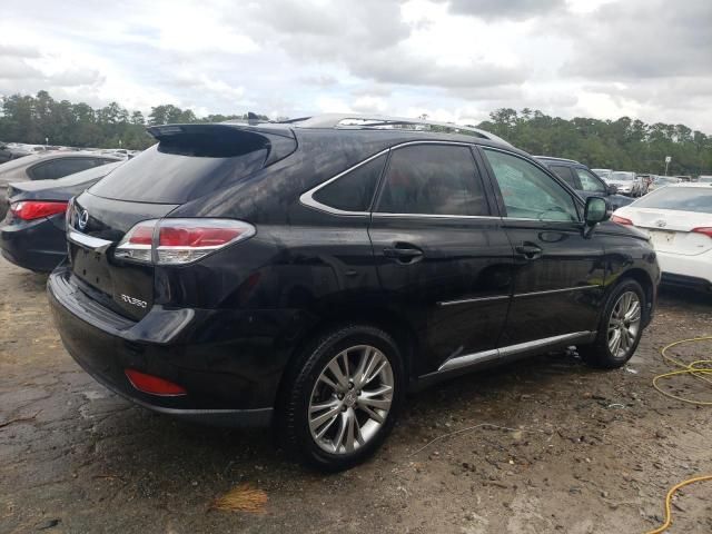 2013 Lexus RX 350