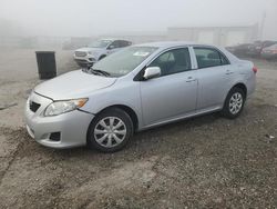 Toyota salvage cars for sale: 2009 Toyota Corolla Base