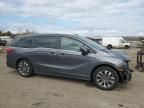 2023 Honda Odyssey EXL