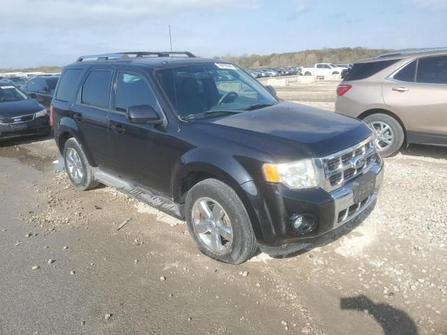 2011 Ford Escape Limited