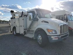 Salvage trucks for sale at Gastonia, NC auction: 2024 Peterbilt 536