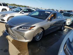 Salvage cars for sale at Riverview, FL auction: 2021 Lexus ES 350 Base