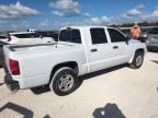 2006 Dodge Dakota Quad SLT