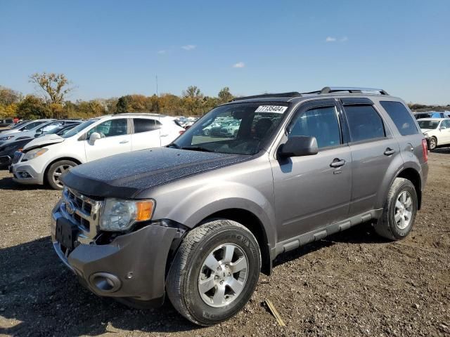 2010 Ford Escape Limited