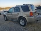 2007 Ford Escape XLT