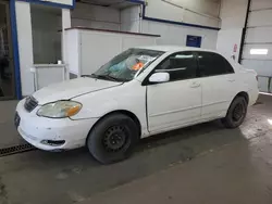 Vehiculos salvage en venta de Copart Pasco, WA: 2005 Toyota Corolla CE