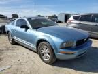 2006 Ford Mustang