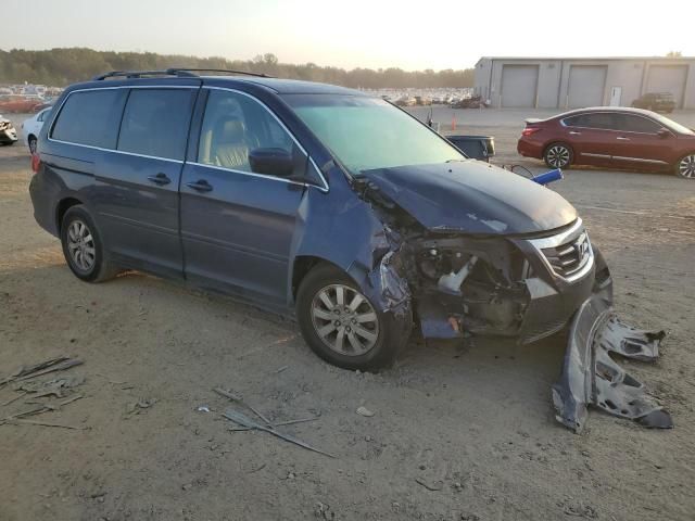 2008 Honda Odyssey EXL