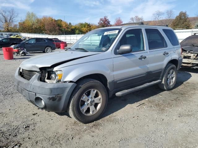 2007 Ford Escape XLT