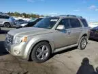 2010 Ford Escape Limited