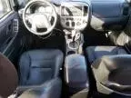 2007 Ford Escape Limited