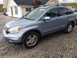 Salvage cars for sale at Northfield, OH auction: 2010 Honda CR-V EXL