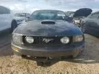 2008 Ford Mustang GT