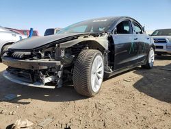 Salvage cars for sale at Brighton, CO auction: 2021 Tesla Model 3