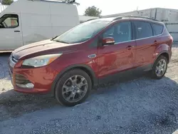 Ford Escape sel salvage cars for sale: 2013 Ford Escape SEL