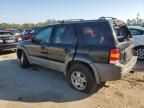 2002 Ford Escape XLT