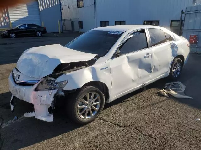 2010 Toyota Camry Hybrid