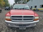 2004 Dodge Dakota SLT