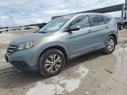 Salvage cars for sale at West Palm Beach, FL auction: 2012 Honda CR-V EX