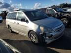 2005 Honda Odyssey EXL