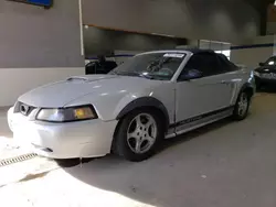 Ford Mustang salvage cars for sale: 2002 Ford Mustang