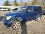 2010 Dodge Nitro SXT