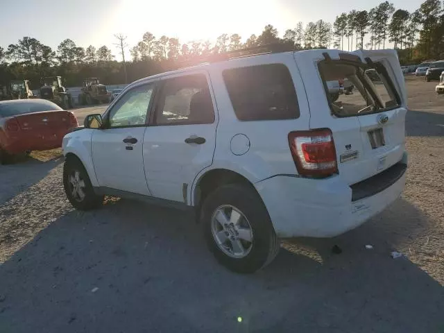 2011 Ford Escape XLT